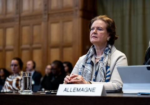 Agent of Germany, Ms Tania von Uslar-Gleichen, at the opening of the hearings Agent of Germany, Ms Tania von Uslar-Gleichen, at the opening of the hearings