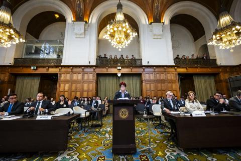 The Co-Agent of Mexico, HE Ms Carmen Moreno Toscano, at the opening of the hearings The Co-Agent of Mexico, HE Ms Carmen Moreno Toscano, at the opening of the hearings