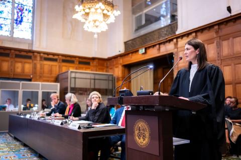 Ms Romi Brammer, Principal State Law Adviser, International Law, Department of International Relations and Cooperation (South Africa) Ms Romi Brammer, Principal State Law Adviser, International Law, Department of International Relations and Cooperation (South Africa)
