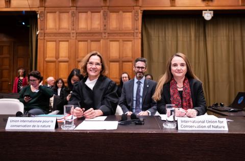 Members of the Delegation of the International Union for Conservation of Nature Photograph: UN Photo/ICJ-CIJ/Frank van Beek. Courtesy of the ICJ.