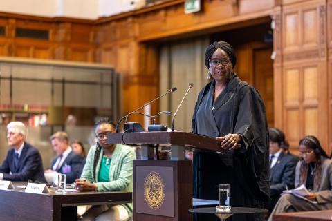 Ms Phoebe Okowa, Professor of Public International Law, Queen Mary University of London, member of the International Law Commission, Advocate, High Court of Kenya (Namibia) Ms Phoebe Okowa, Professor of Public International Law, Queen Mary University of London, member of the International Law Commission, Advocate, High Court of Kenya (Namibia)