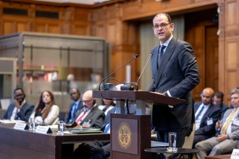 Mr Mohamed Helal, Counsellor and Legal Adviser (League of Arab States) Mr Mohamed Helal, Counsellor and Legal Adviser (League of Arab States)